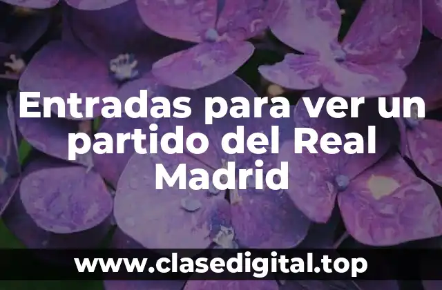 Entradas para ver un partido del Real Madrid