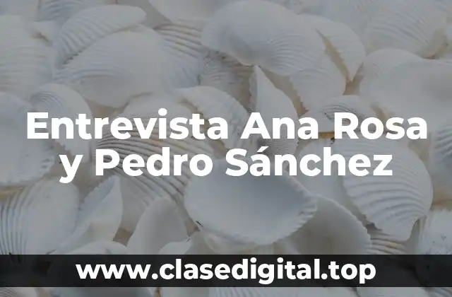 Entrevista Ana Rosa y Pedro Sánchez