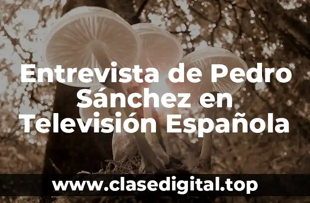 Entrevista de Pedro Sánchez en Televisión Española