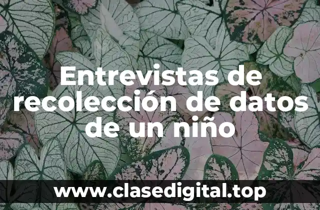 Entrevistas de recolección de datos de un niño