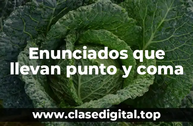 Enunciados que llevan punto y coma