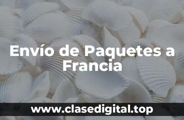 Envío de Paquetes a Francia