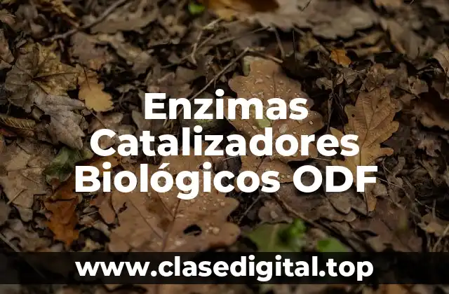 Enzimas Catalizadores Biológicos ODF