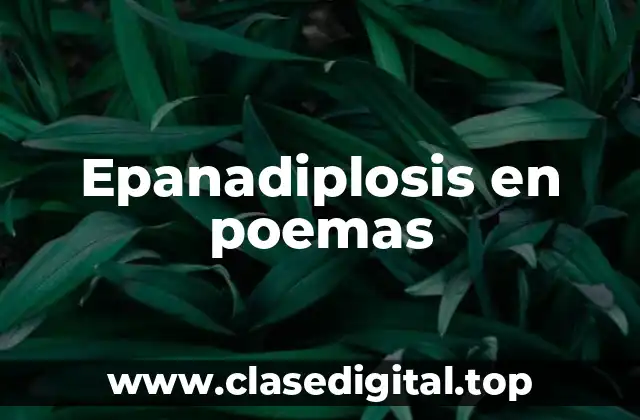 Epanadiplosis en poemas