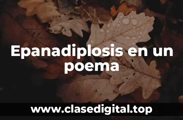 Ejemplos de epanadiplosis