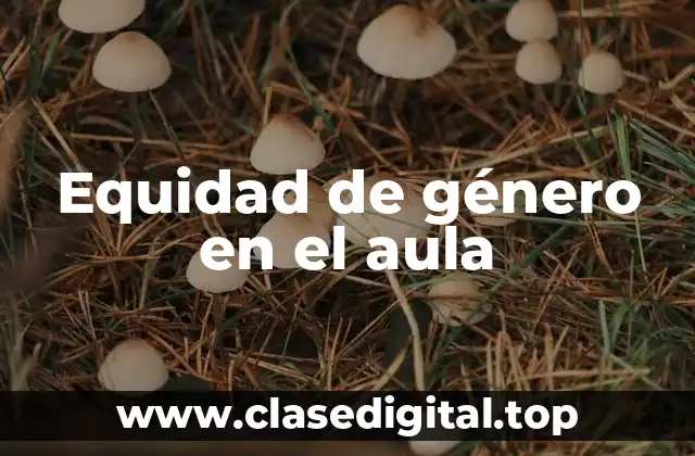 Equidad de género en el aula