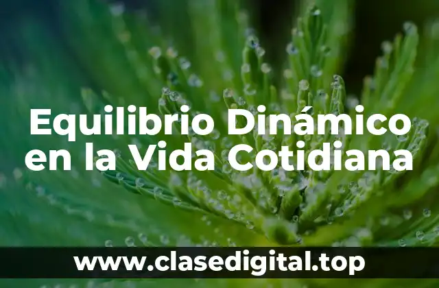 Equilibrio Dinámico en la Vida Cotidiana