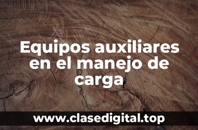 Ejemplos de equipos auxiliares en el manejo de carga