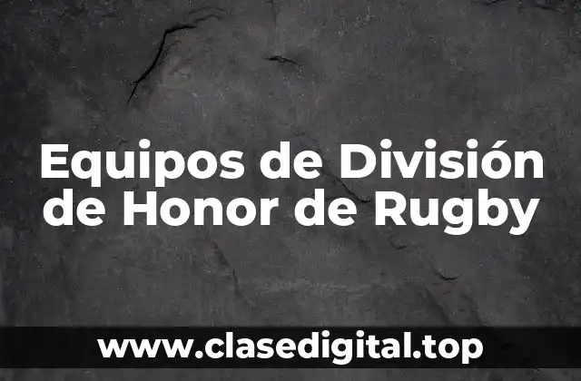 Equipos de División de Honor de Rugby