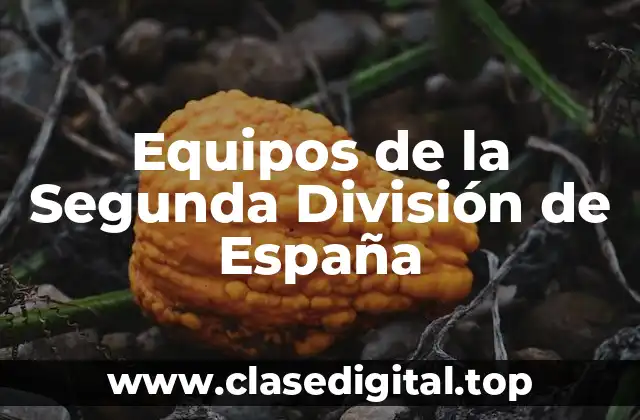 Equipos de la Segunda División de España