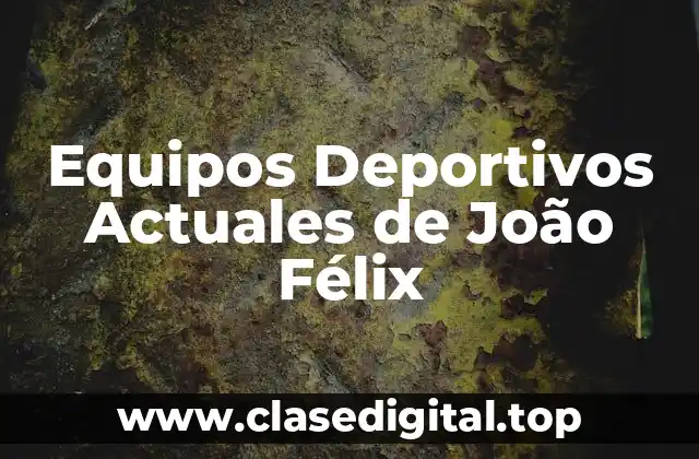 La Trayectoria de João Félix en el Fútbol Profesional