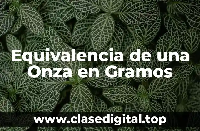 Equivalencia de una Onza en Gramos