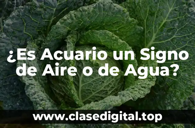 ¿Es Acuario un Signo de Aire o de Agua?