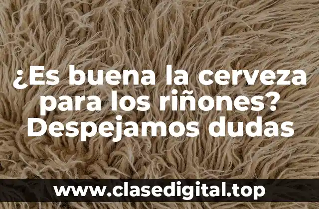 ¿Es buena la cerveza para los riñones? Despejamos dudas
