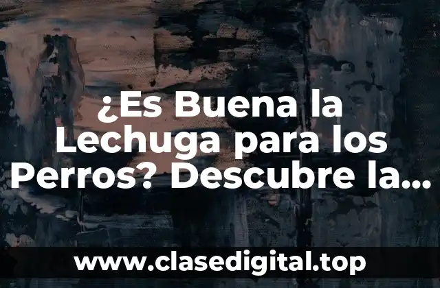 Los Beneficios de la Lechuga para Perros