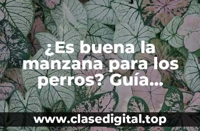 ¿Es buena la manzana para los perros? Guía definitiva sobre la seguridad y beneficios