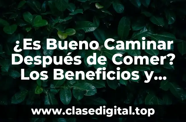 ¿Es Bueno Caminar Después de Comer? Los Beneficios y Mitos