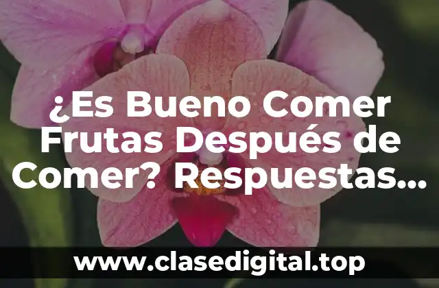 Los Beneficios de Comer Frutas Después de Comer