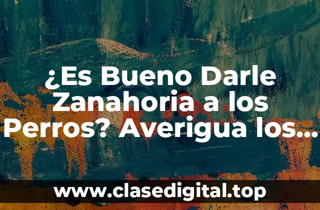 ¿Es Bueno Darle Zanahoria a los Perros? Averigua los Beneficios y Riesgos