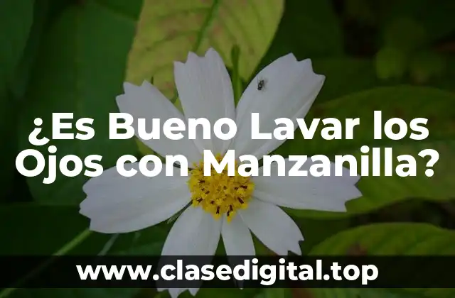 ¿Qué es la Manzanilla y Cómo Funciona en la Salud de los Ojos?