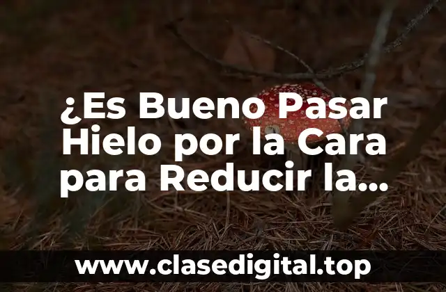 ¿Es Bueno Pasar Hielo por la Cara para Reducir la Inflamación y Mejorar la Salud de la Piel?
