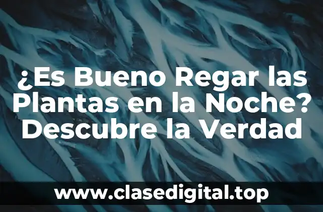 ¿Es Bueno Regar las Plantas en la Noche? Descubre la Verdad