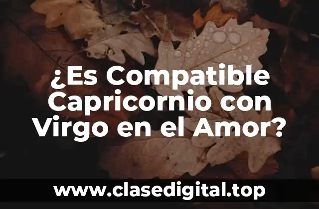 ¿Es Compatible Capricornio con Virgo en el Amor?