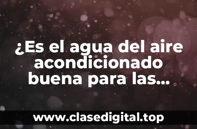¿Es el agua del aire acondicionado buena para las plantas?