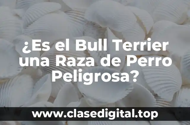 ¿Es el Bull Terrier una Raza de Perro Peligrosa?
