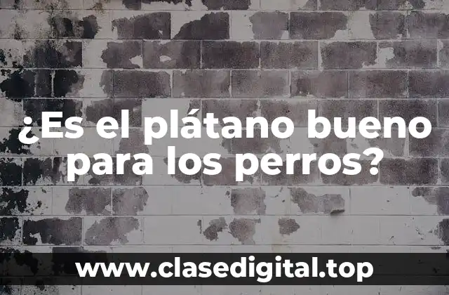 ¿Es el plátano bueno para los perros?