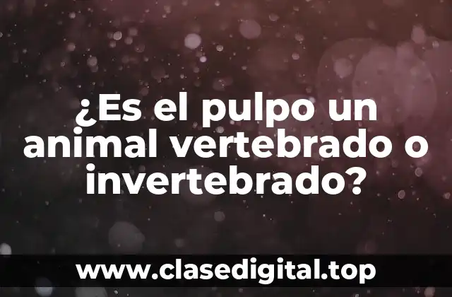 Características generales de los vertebrados y invertebrados