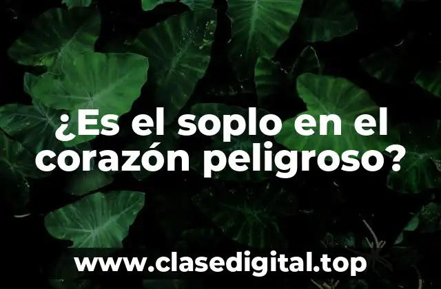 ¿Es el soplo en el corazón peligroso?