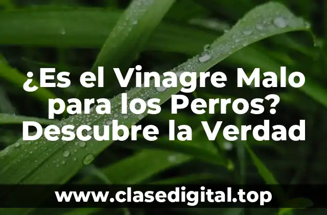 ¿Qué es el Vinagre y Cómo se Fabrica?