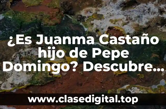 ¿Es Juanma Castaño hijo de Pepe Domingo? Descubre la verdad