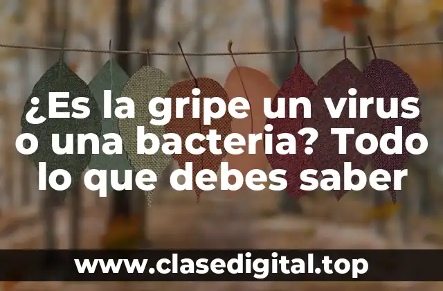 ¿Es la gripe un virus o una bacteria? Todo lo que debes saber