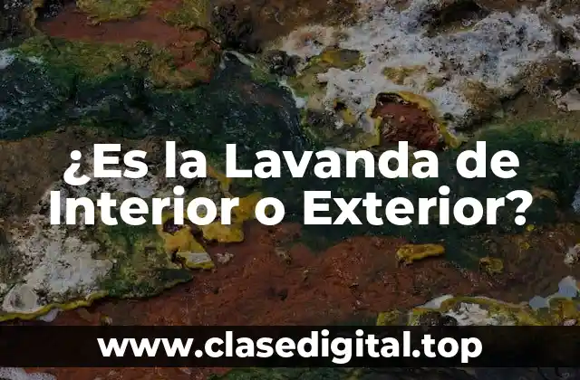 ¿Es la Lavanda de Interior o Exterior?