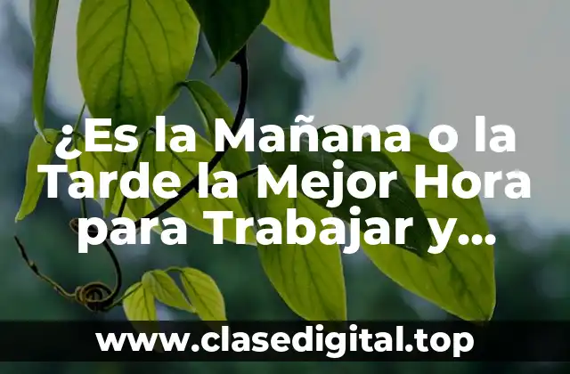¿Es la Mañana o la Tarde la Mejor Hora para Trabajar y Estudiar?