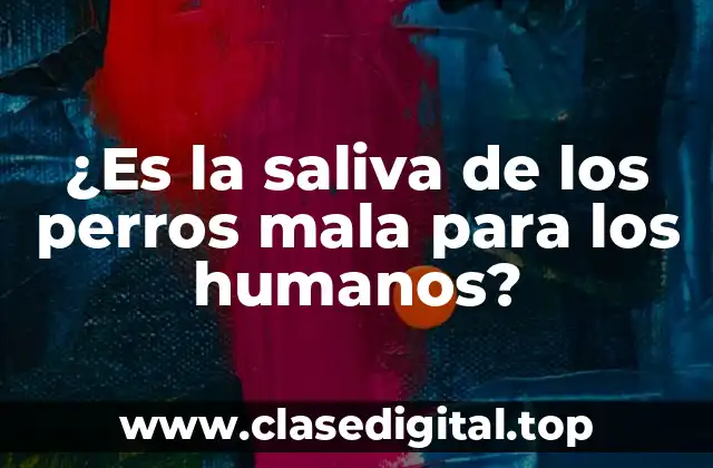 ¿Es la saliva de los perros mala para los humanos?
