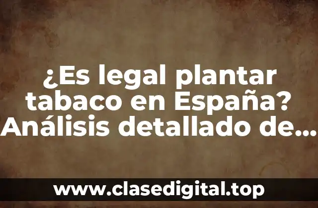 ¿Es legal plantar tabaco en España? Análisis detallado de la legislación