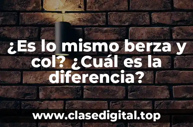 Orígenes y historia de la berza y la col