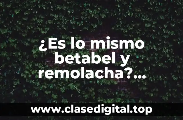 ¿Es lo mismo betabel y remolacha? Descubre la verdad