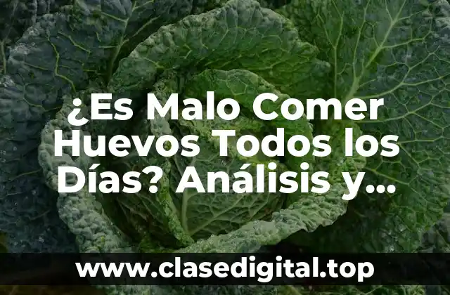 Los Beneficios Nutricionales de los Huevos