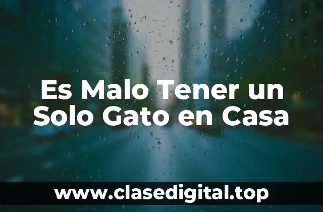 Es Malo Tener un Solo Gato en Casa