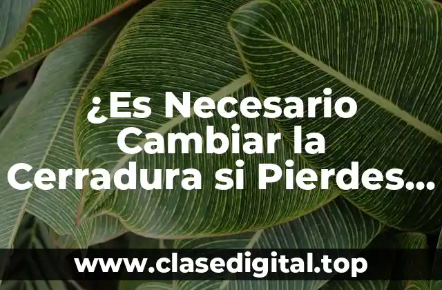 ¿Es Necesario Cambiar la Cerradura si Pierdes las Llaves?