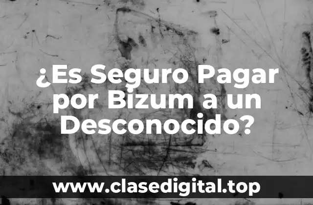 ¿Es Seguro Pagar por Bizum a un Desconocido?