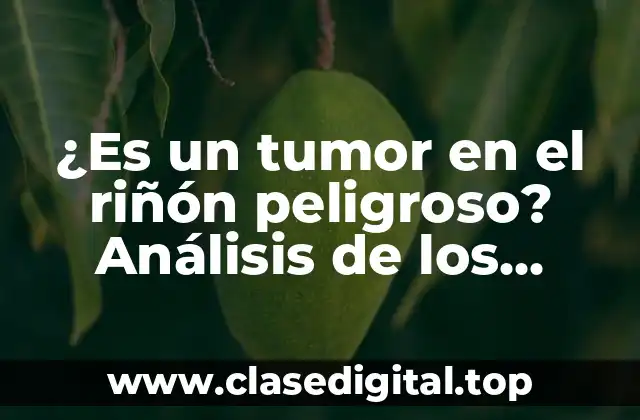 ¿Es un tumor en el riñón peligroso? Análisis de los riesgos y consecuencias