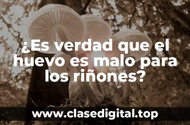 ¿Es verdad que el huevo es malo para los riñones?