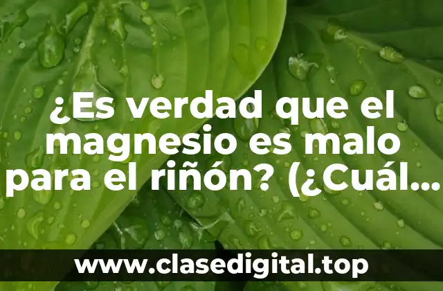 ¿Es verdad que el magnesio es malo para el riñón? (¿Cuál es el impacto del magnesio en la salud renal?)