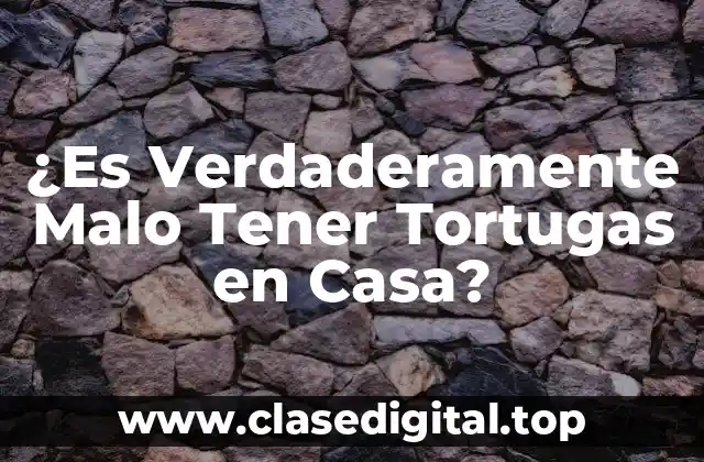 ¿Es Verdaderamente Malo Tener Tortugas en Casa?