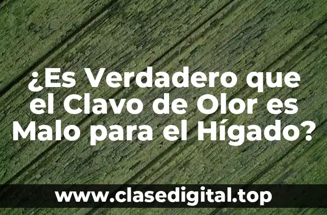 ¿Es Verdadero que el Clavo de Olor es Malo para el Hígado?